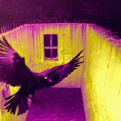 СТРУКТУРА ЩАСТЯ - СИСТЕМА